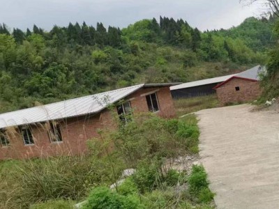 重庆35亩养殖场转让图3