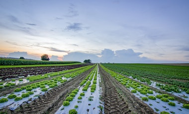 工业用地分割登记改革 化解企业融资难题