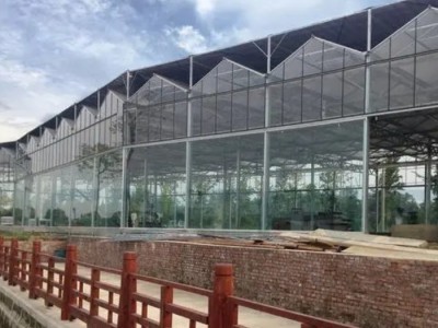 福建三明市综合农场，包含89亩大棚