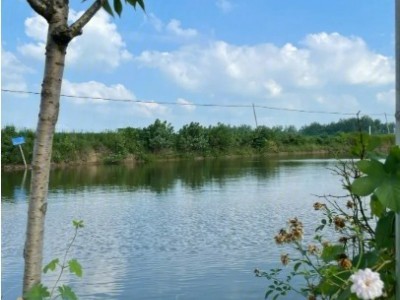 求租河北石家庄鱼塘，水库大于10亩均可图1