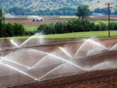 求购内蒙包头古固阳或达茂旗附近2000亩水浇地图1