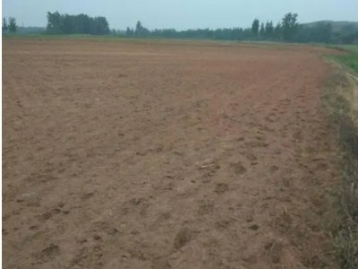 求租安徽芜湖20亩沙土地图1