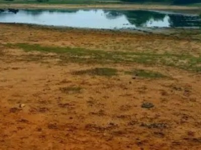 求租安徽滁州旱地图1