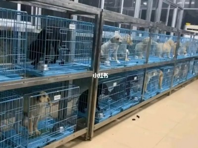 江苏苏州市张家港市营业中农场狗舍