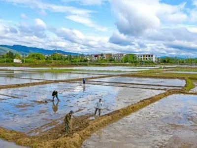 河南周口鹿邑县220亩设施农用土地转