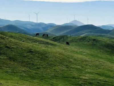 湖南永州宁远县800亩山地转让，转让