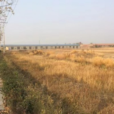 天津市静海县唐官屯镇只官屯村九州加油站北侧土地出售