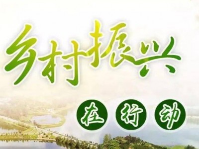 东兴市人民政府关于印发《东兴市引入社会资本参与老旧片区改造土地熟化工作的实施意见(试行)》的通知图1