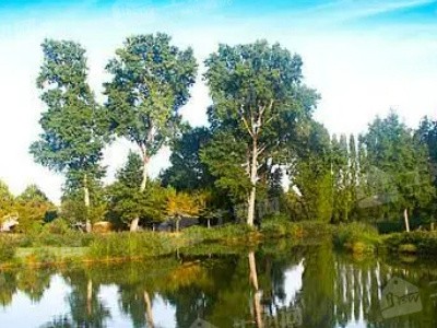 广东惠州惠东县10亩坑塘水面出租70年图2