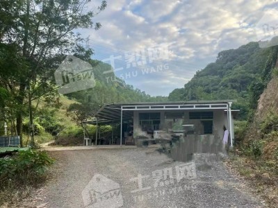 广东惠州15亩休闲地、10亩鱼塘整体