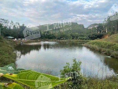 广东惠州15亩休闲地、10亩鱼塘整体出租图4