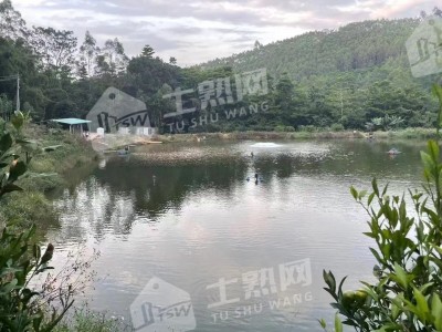 广东惠州15亩休闲地、10亩鱼塘整体出租图5