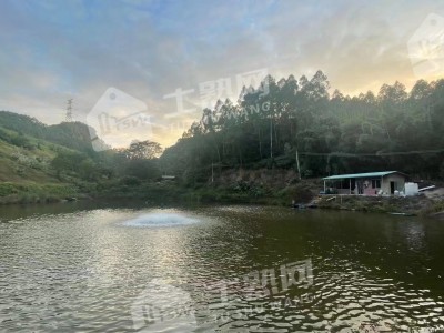 广东惠州15亩休闲地、10亩鱼塘整体出租图6