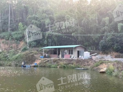 广东惠州15亩休闲地、10亩鱼塘整体出租图7