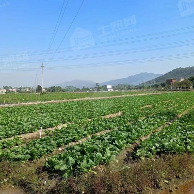 云南曲靖马龙县农用地110亩出租，10年起租。