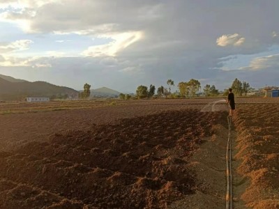 云南丽江永胜县710亩耕地出租，20期