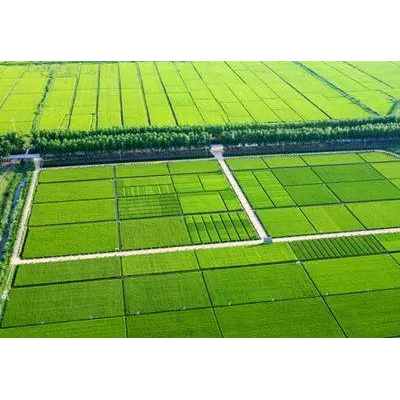 天津市河东区330亩农业地流转，年限20年