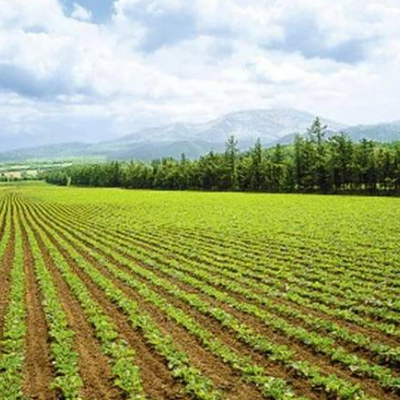 黑龙江省鸡西市恒山区2800亩农业用地，年限28年