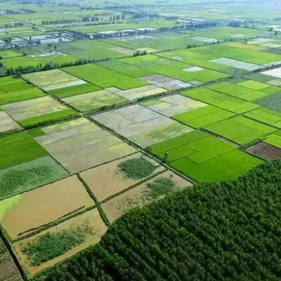 黑龙江省鸡西市滴道区4600亩农业用地，年限30年