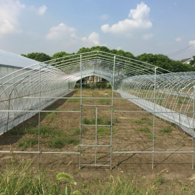 转让江苏省无锡市锡山区80亩大棚种植基地年限16年