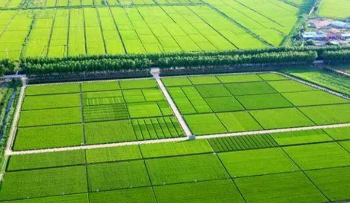 广西桂林兴安县农用地306亩转让，20年期限