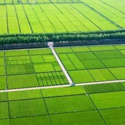 广西桂林兴安县农用地306亩转让，12年期限