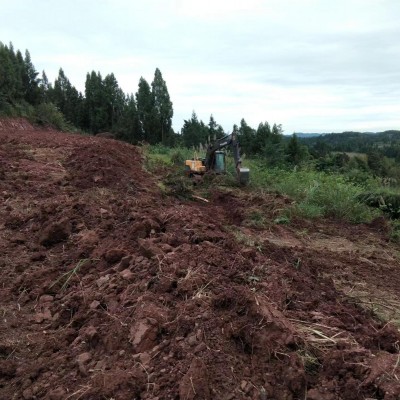 四川资阳乐至4291.23亩林地求租，期限20年